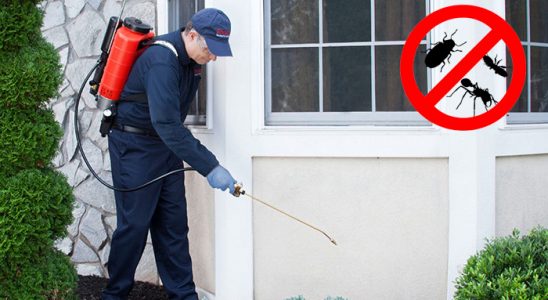 Çandarlı Kene İlaçlama böcek ilaçlama ve haşere kontrolü — ilaclama-tr.com